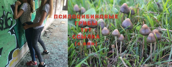 крисы Навашино