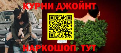 сатива Камышлов