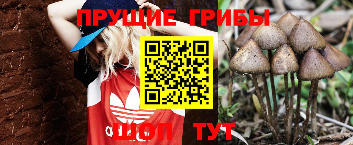 закладки  Вход с VPN  Лабинск  Псилоцибиновые грибы MAGIC MUSHROOMS 